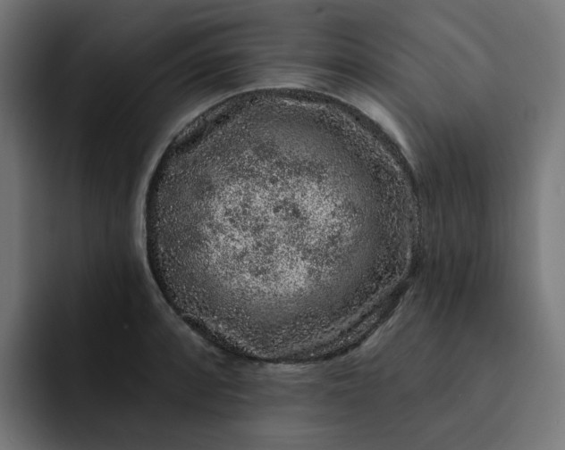 X0000093141088200710101113