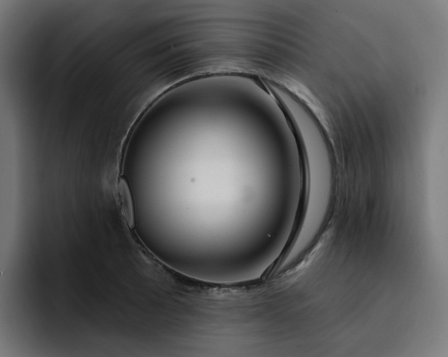 X0000093141089200710101113