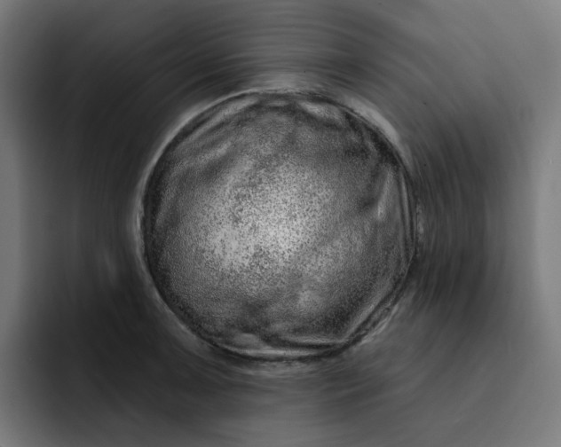 X0000093141091200710101113