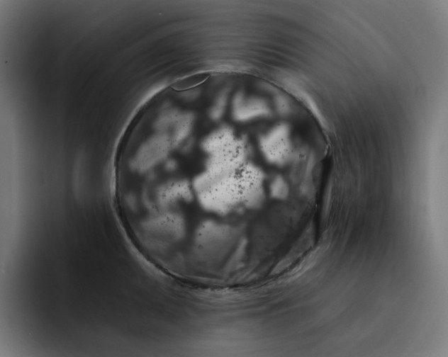 X0000093141095200710101113