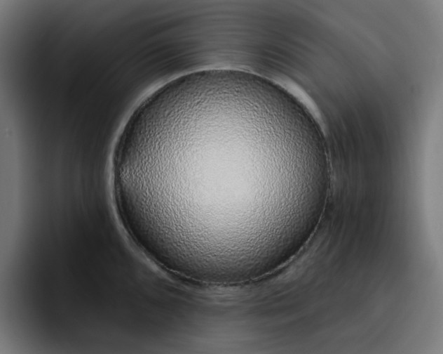 X0000093141096200710101113