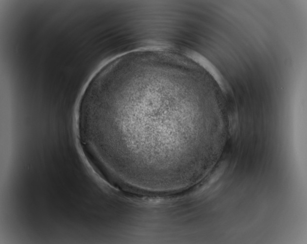 X0000093141099200710101113