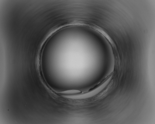 X0000093141101200710101113