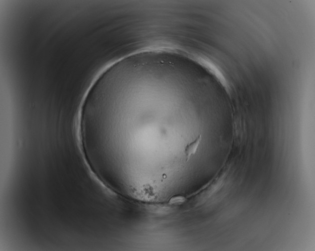 X0000093141103200710101113