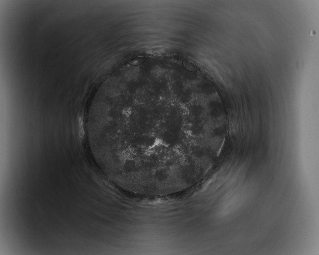 X0000093141106200710101112