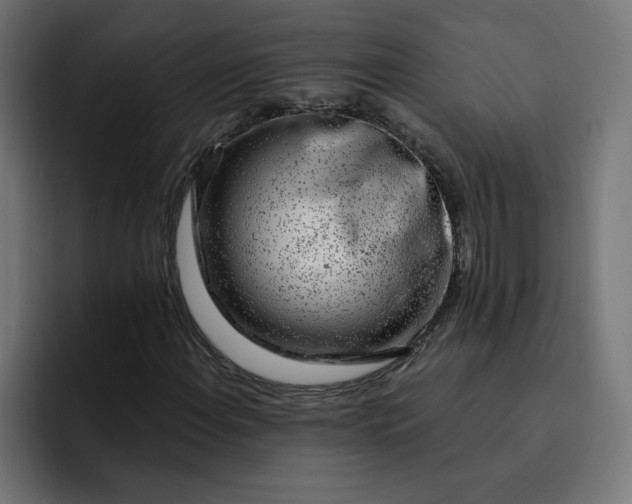 X0000093141108200710101112