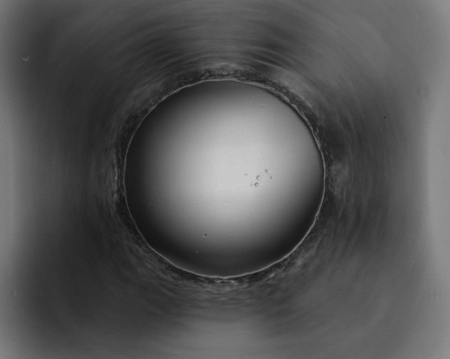 X0000093141111200710101112