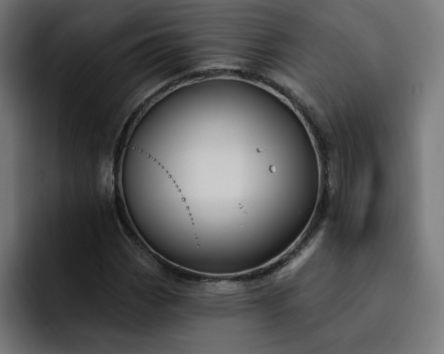 X0000093141113200710101112