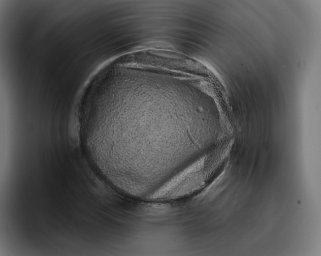 X0000093141115200710101112