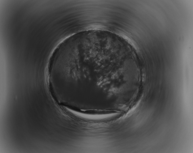 X0000093141117200710101112