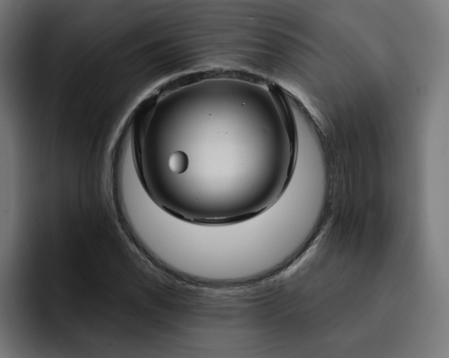 X0000093141118200710101112