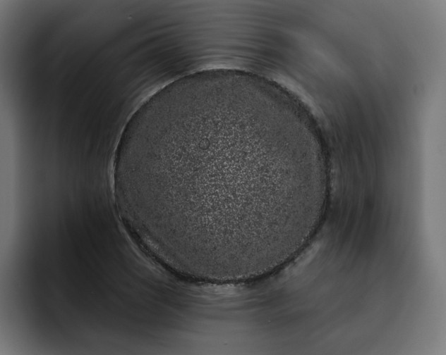 X0000093141121200710101112