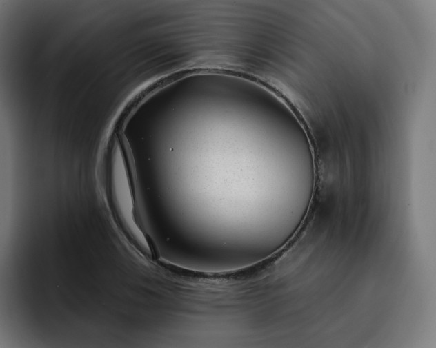 X0000093141123200710101112