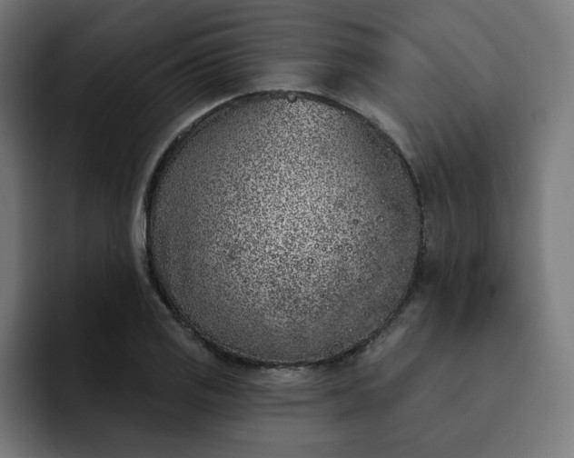 X0000093141125200710101112