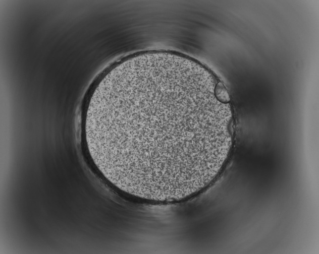 X0000093141126200710101112