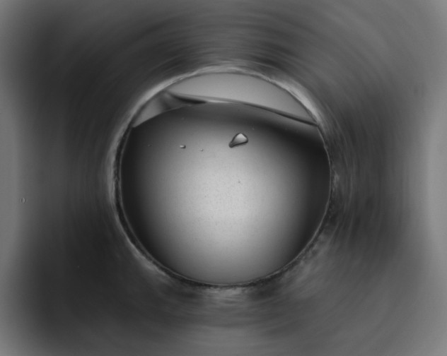 X0000093141143200710101112