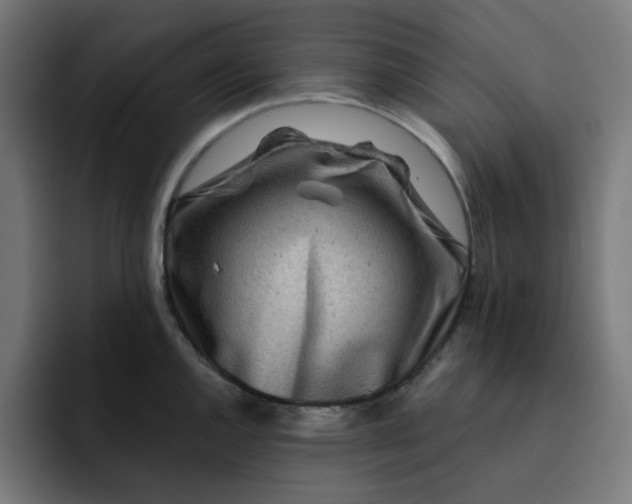 X0000093141144200710101112