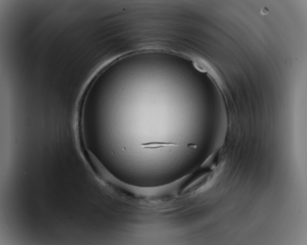 X0000093141149200710101113