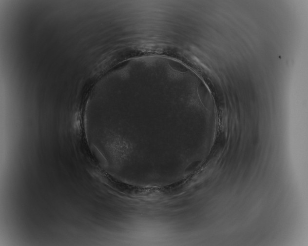 X0000093141154200710101112