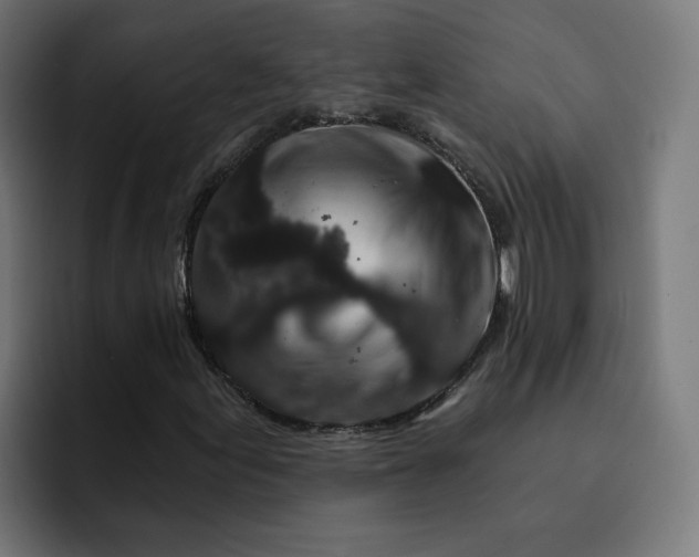 X0000093141155200710101112