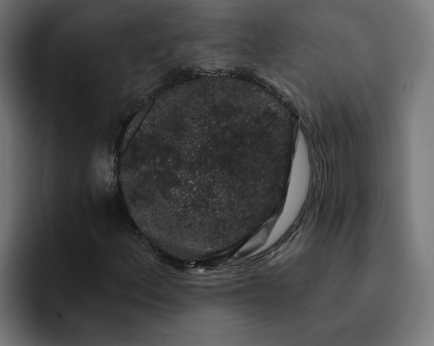 X0000093141156200710101112