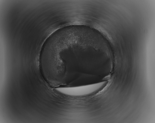 X0000093141170200710101112