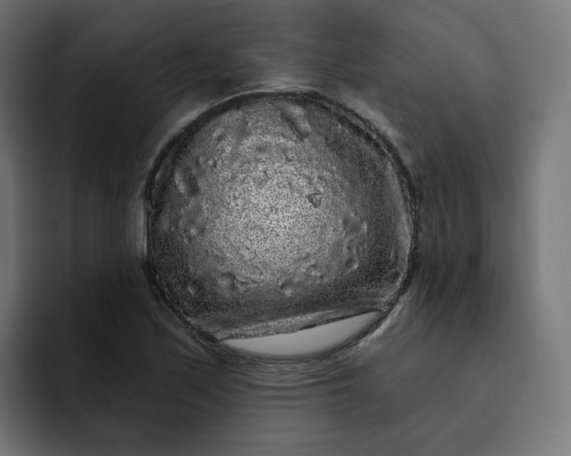 X0000093141171200710101112