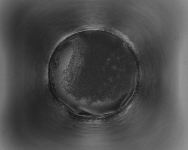 X0000093141174200710101112