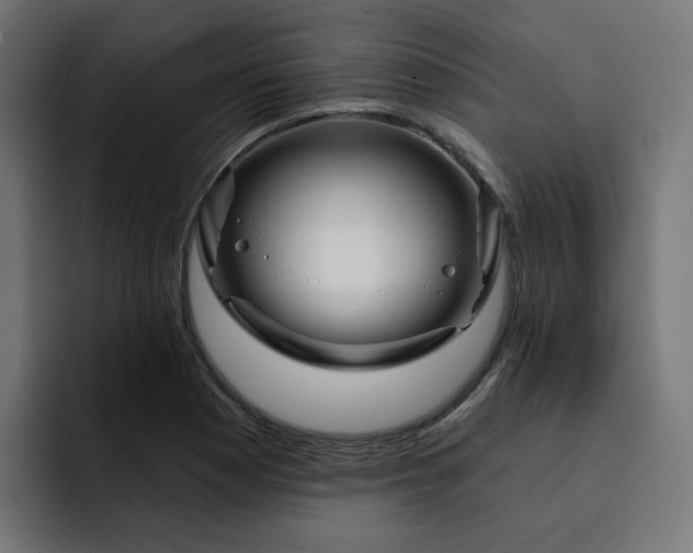 X0000093141177200710101112