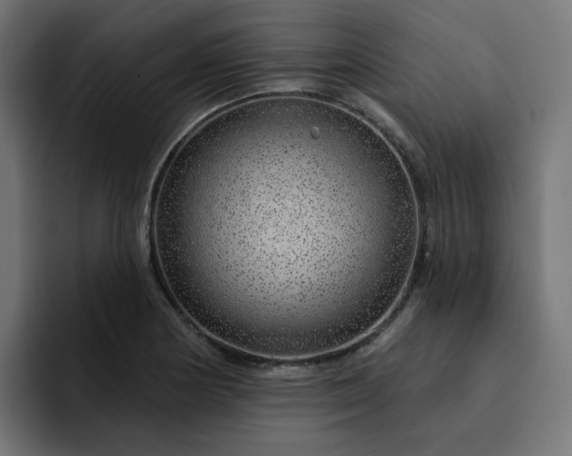 X0000093141178200710101112