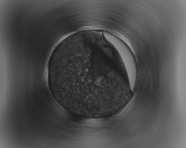 X0000093141179200710101112