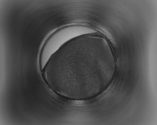 X0000093141180200710101112