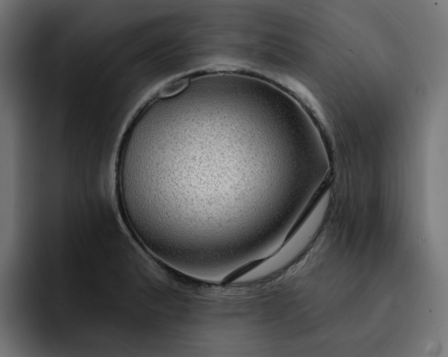 X0000093141183200710101112