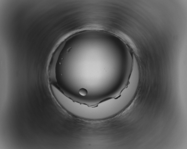 X0000093141192200710101112