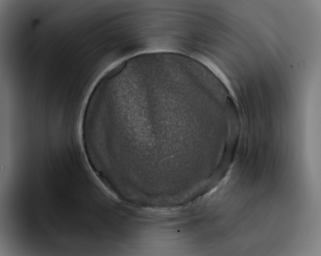 X0000093141197200710101111