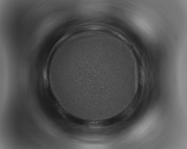 X0000093141198200710101111