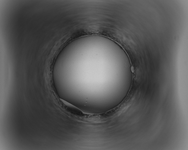 X0000093141201200710101111