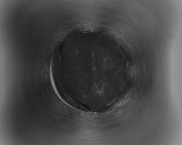 X0000093141202200710101111