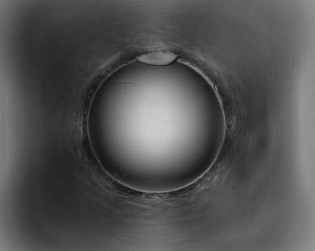 X0000093141205200710101111