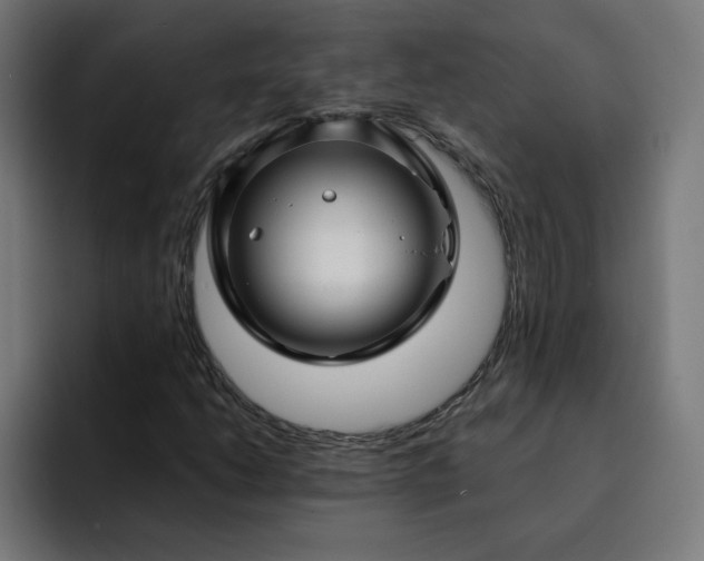 X0000093141206200710101111