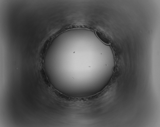 X0000093141207200710101111