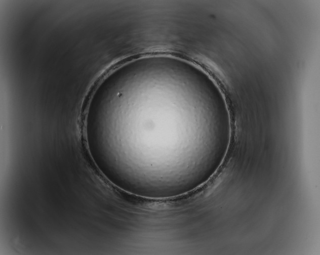 X0000093141212200710101111