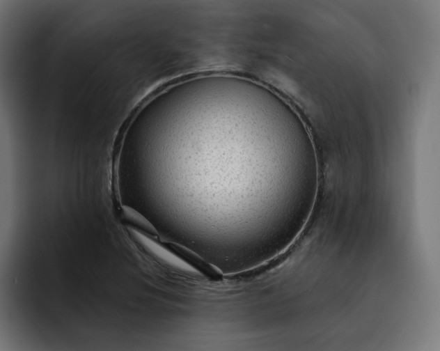 X0000093141220200710101111