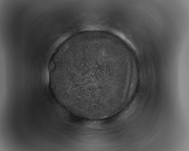 X0000093141221200710101111