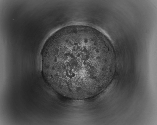 X0000093141223200710101111