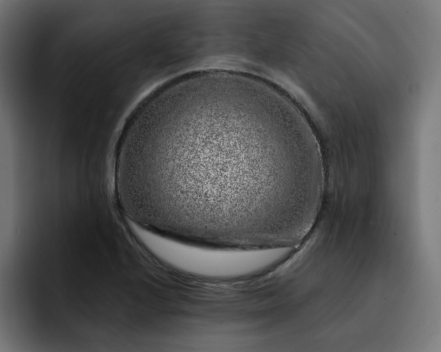 X0000093141224200710101111