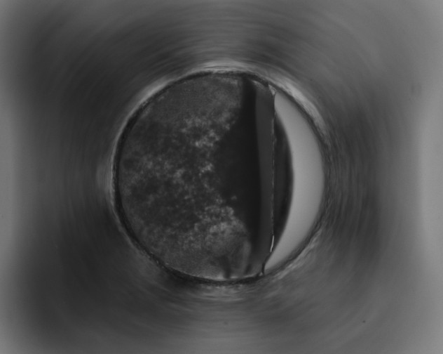 X0000093141229200710101111