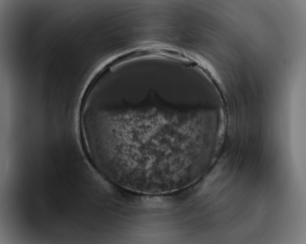 X0000093141231200710101111