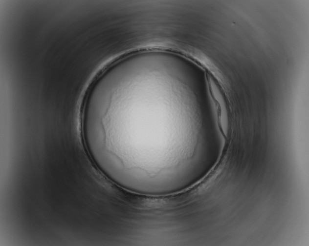 X0000093141232200710101111