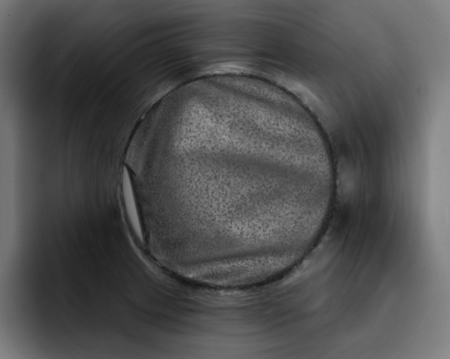 X0000093141233200710101111